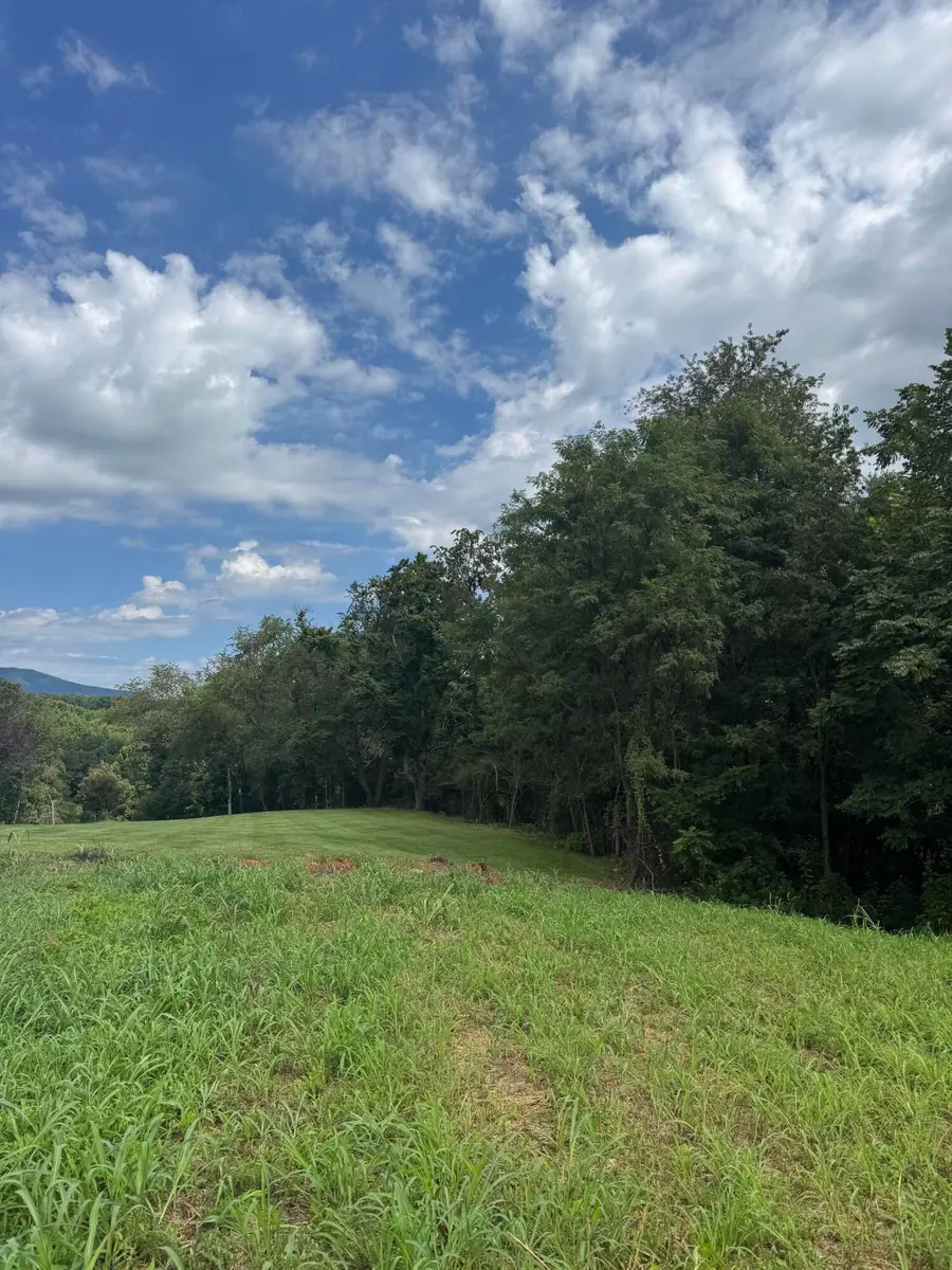 Lot 13 Keiths Pl, Rocky Mount, VA 24151 - #3
