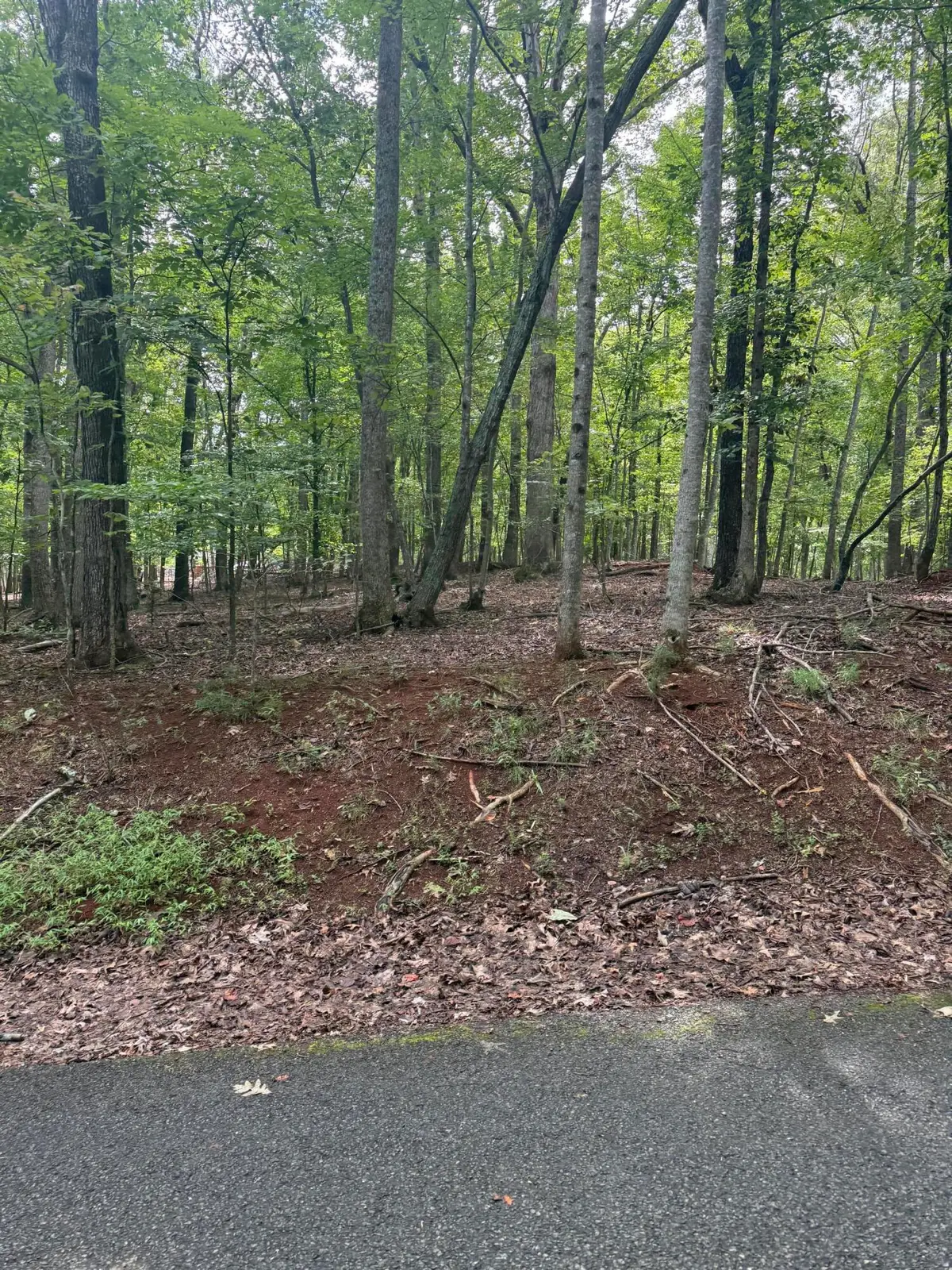 Lot 4 Charmwood Cir Cir, Moneta, VA 24121 - #1