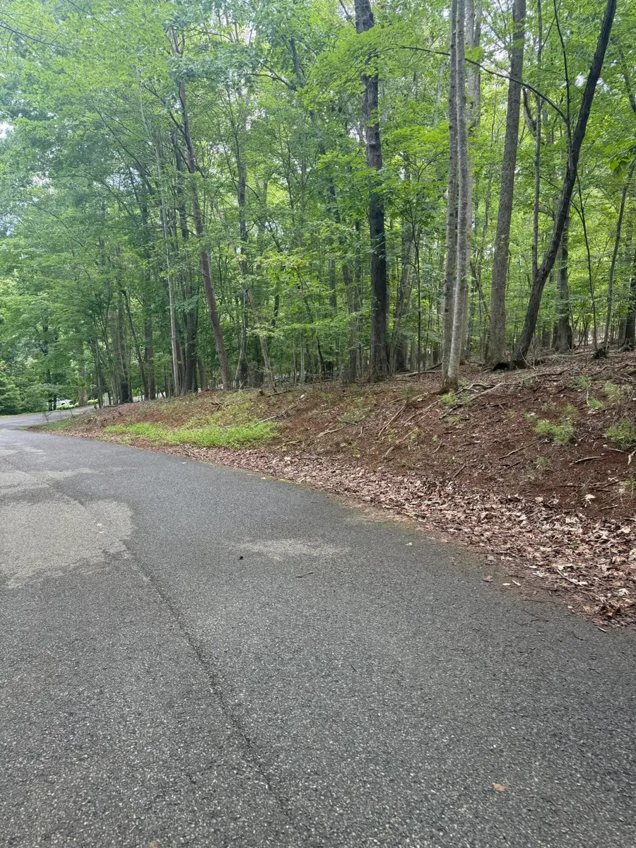 Lot 4 Charmwood Cir Cir, Moneta, VA 24121 - #2