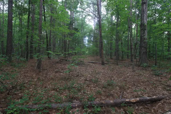 0 Macdonald Rd, Scottsburg, VA 24589