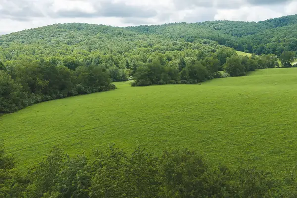 Lot 2 Ridgeview Rd Nw, Floyd, VA 24091