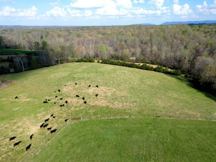 301 Scruggs Rd, Moneta, VA 24121 - #3