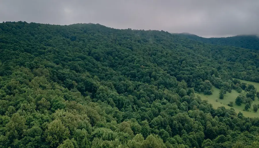 0 Crowell Gap Rd, Boones Mill, VA 24065 - #3