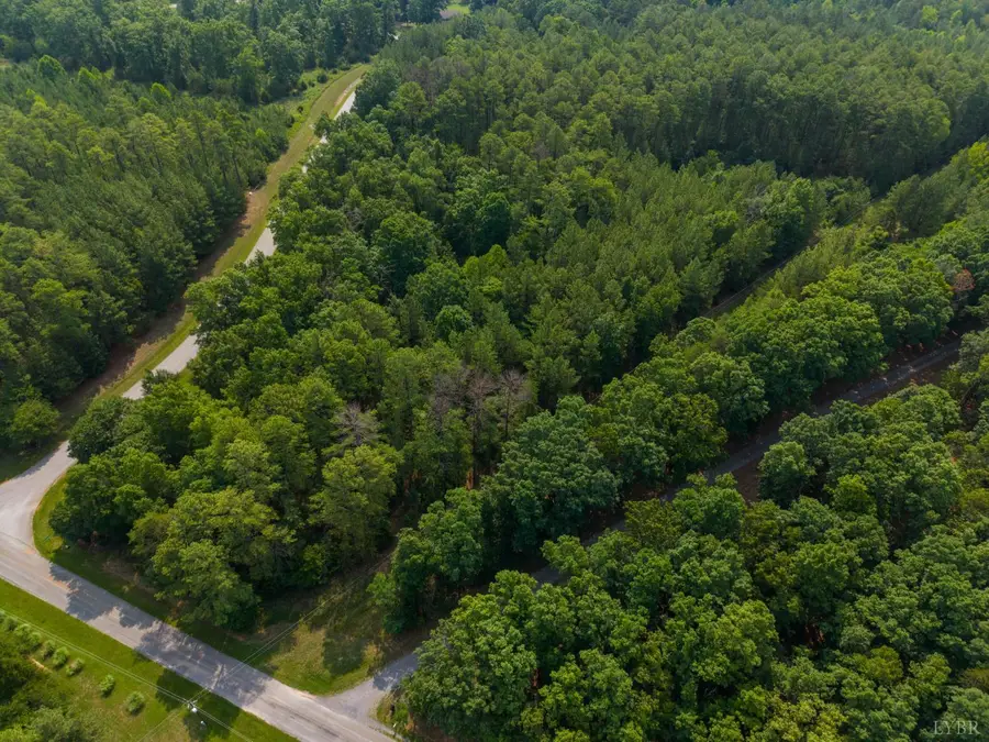 305 Runaway Bay Rd, Lynch Station, VA 24571 - #3