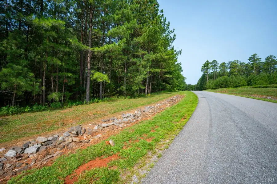 306 Runaway Bay Rd, Lynch Station, VA 24571 - #3