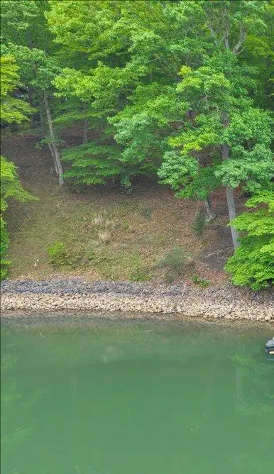 Lot 14 Waterwood Dr, Moneta, VA 24121 - #3