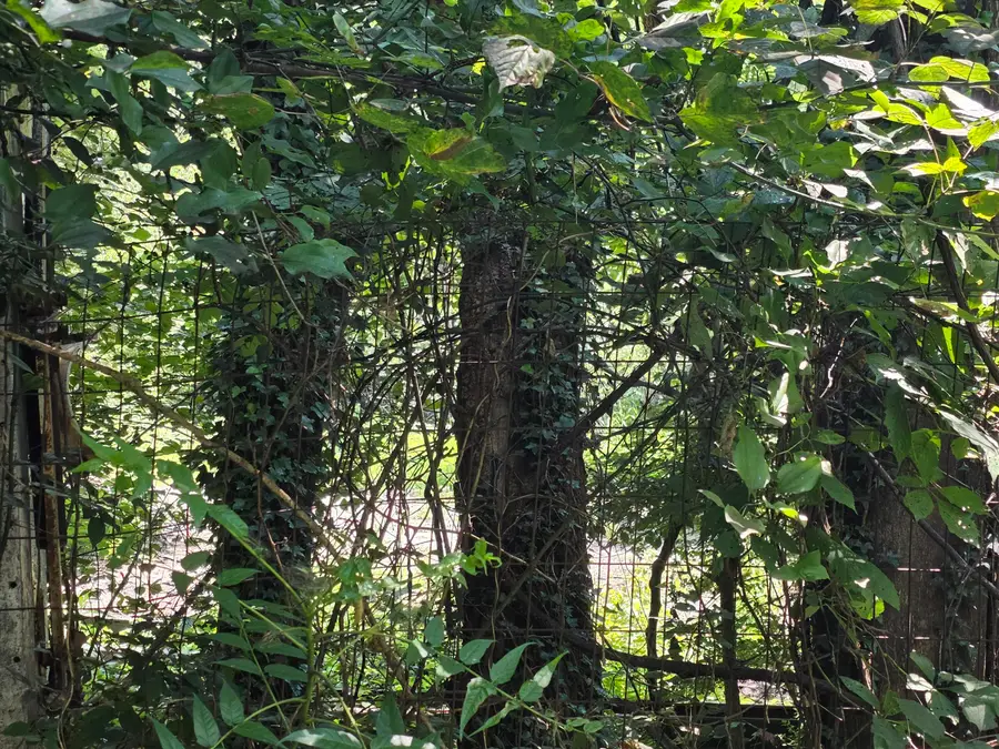 Lot6-10,12 16th St Ne, Roanoke, VA 24012 - #2