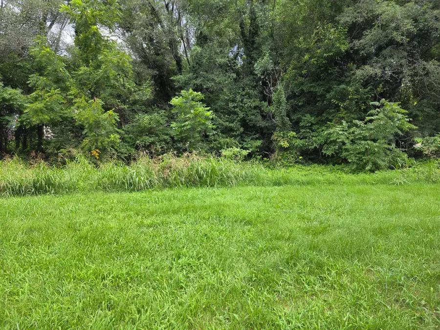 Lot 10&11 Orange Ave Nw, Roanoke, VA 24016 - #2
