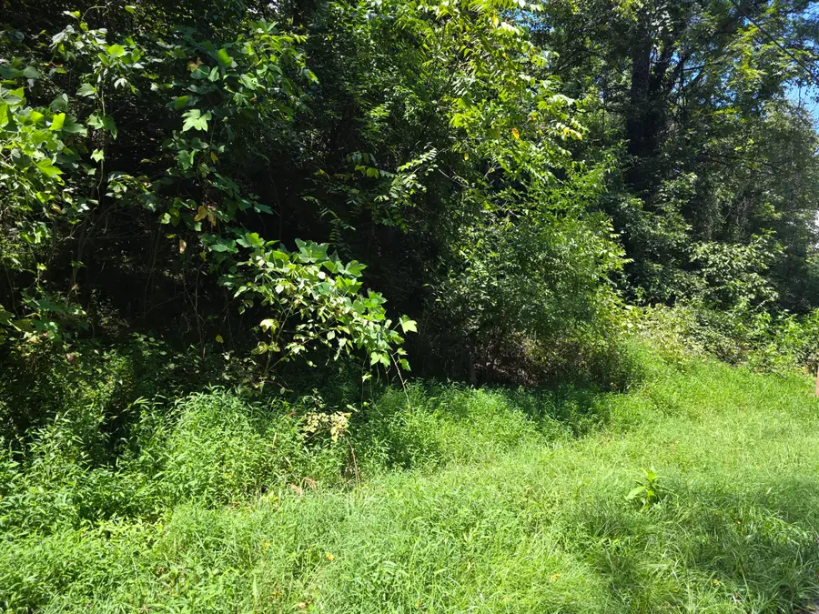 Lot 5 Varnell Ave Ne, Roanoke, VA 24012 - #2