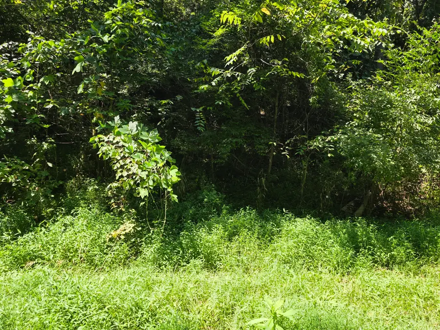 Lot 5 Varnell Ave Ne, Roanoke, VA 24012 - #3