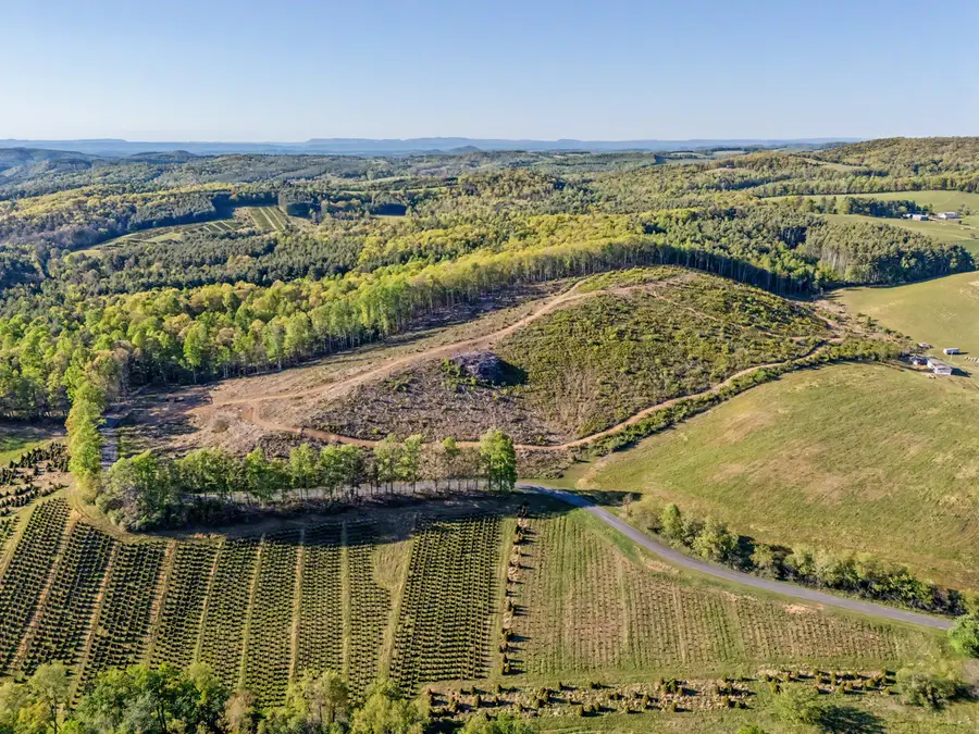 811 Easy, Willis, VA 24380 - #2
