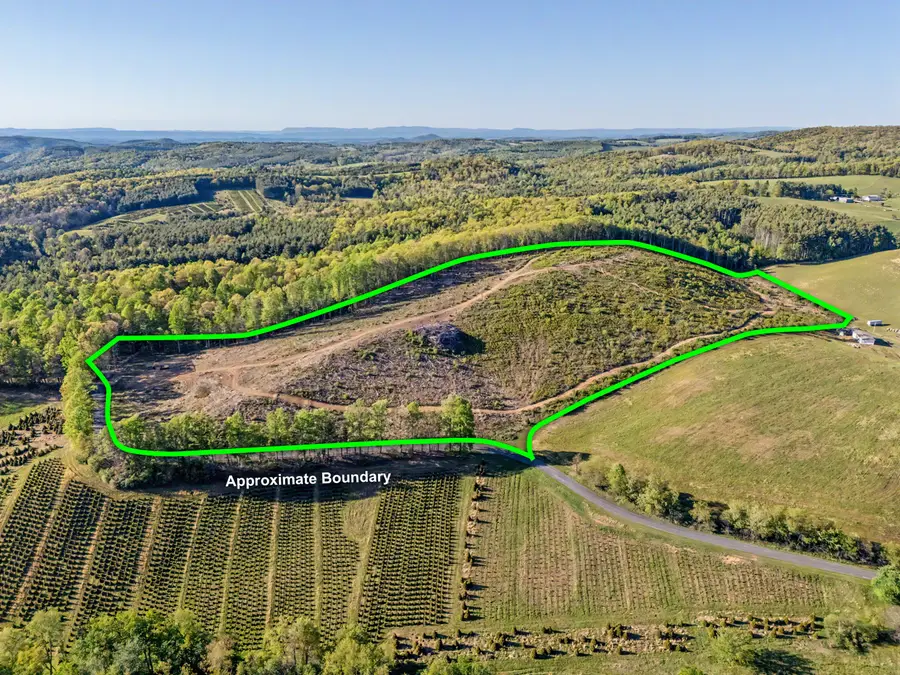 811 Easy, Willis, VA 24380 - #3