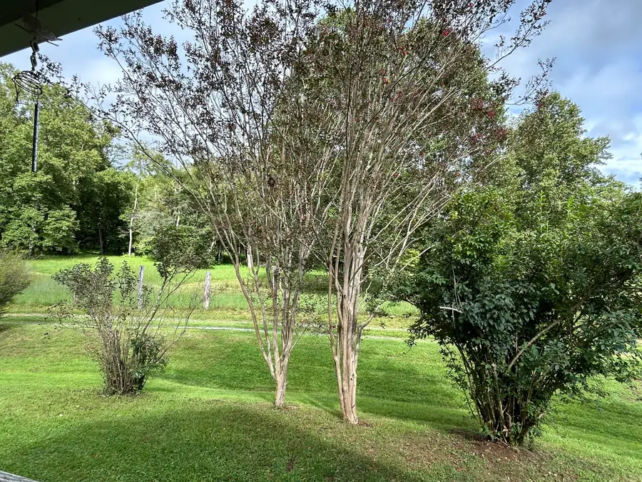 46 Harper, Blue Ridge, VA 24064 - #2
