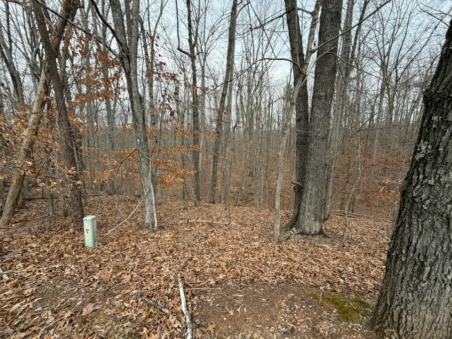 Lot 25 Oak Hollow, Moneta, VA 24121 - #2