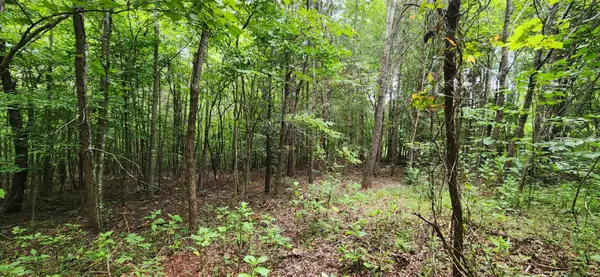 LOT 6 Brooks Mill, Glade Hill, VA 24092