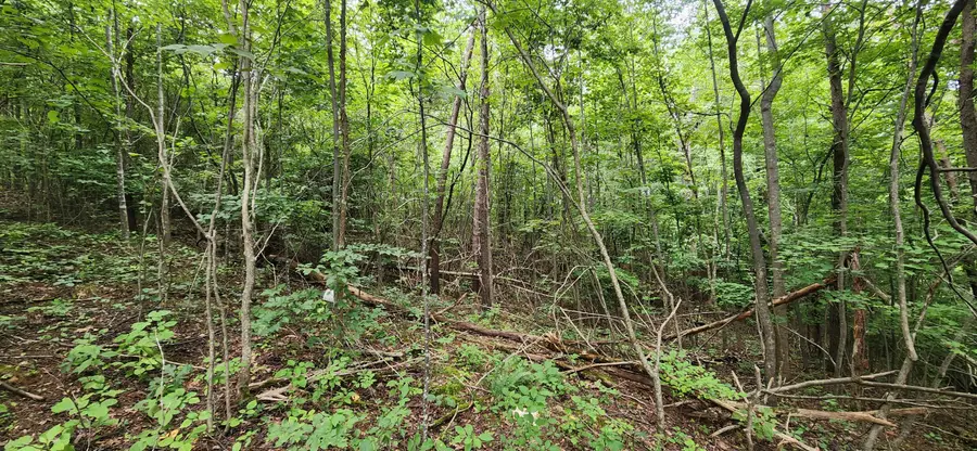 LOT 6 Brooks Mill, Glade Hill, VA 24092 - #2