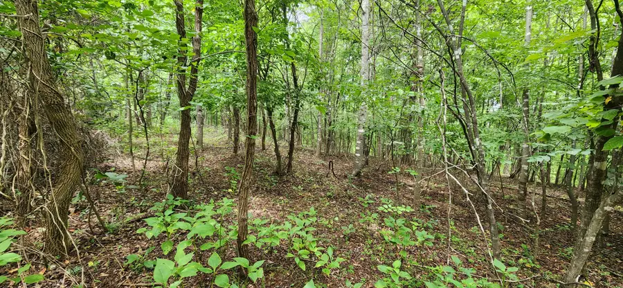 LOT 6 Brooks Mill, Glade Hill, VA 24092 - #3