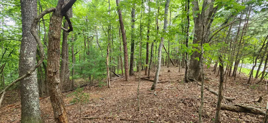 LOT 1 Truman Hill, Hardy, VA 24101 - #2