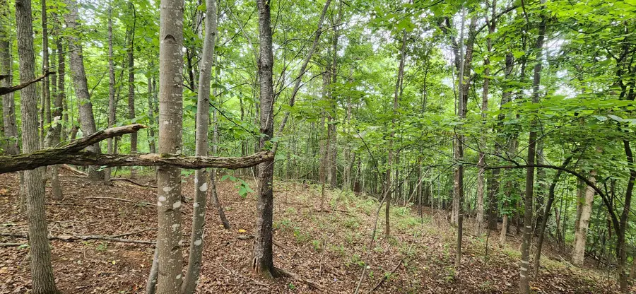 LOT 1 Truman Hill, Hardy, VA 24101 - #3