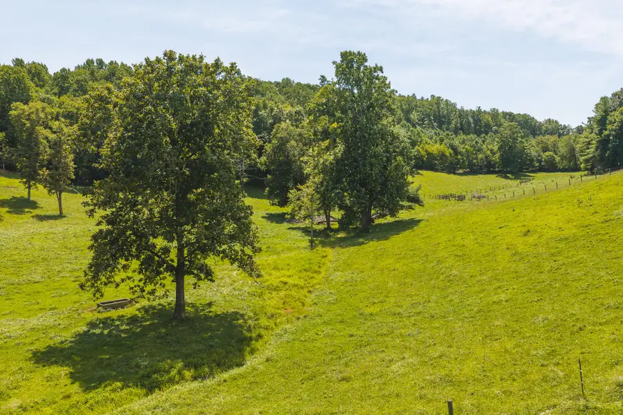 Lot 3 Long Level Rd, Floyd, VA 24091 - #2