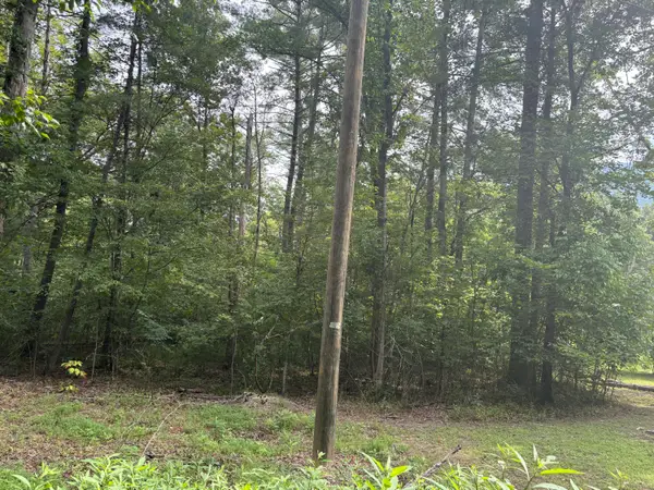 123 N River Rd., Covington, VA 24426