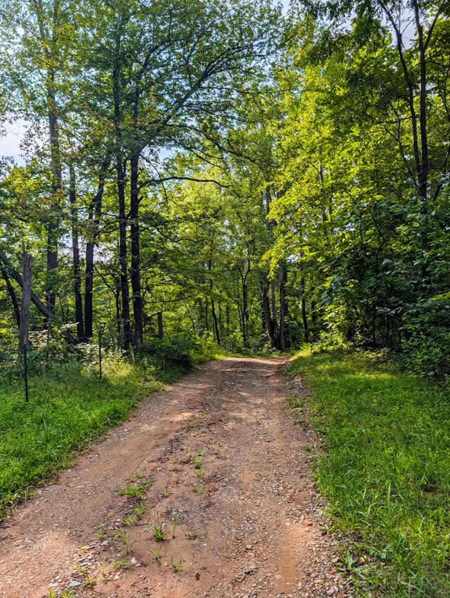 462 Rock Ridge Rd, Callaway, VA 24067 - #2
