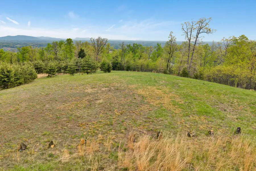 LT 64 Penny Lane, Rocky Mount, VA 24151 - #3