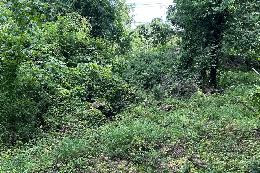 0 Brooke, Brookneal, VA 24528 - #3
