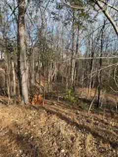 0 Sunnycrest, Roanoke, VA 24018 - #3