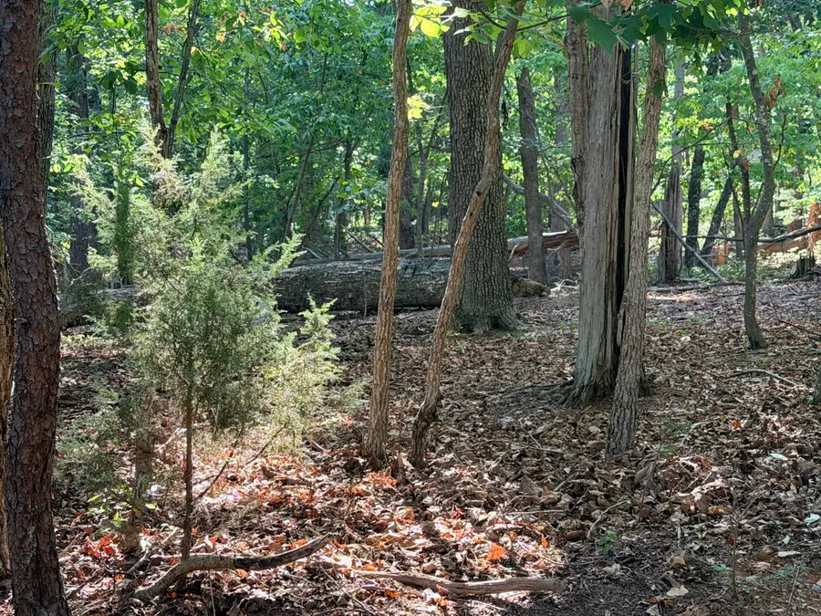 Lot 73 Deerwood, Huddleston, VA 24104 - #3