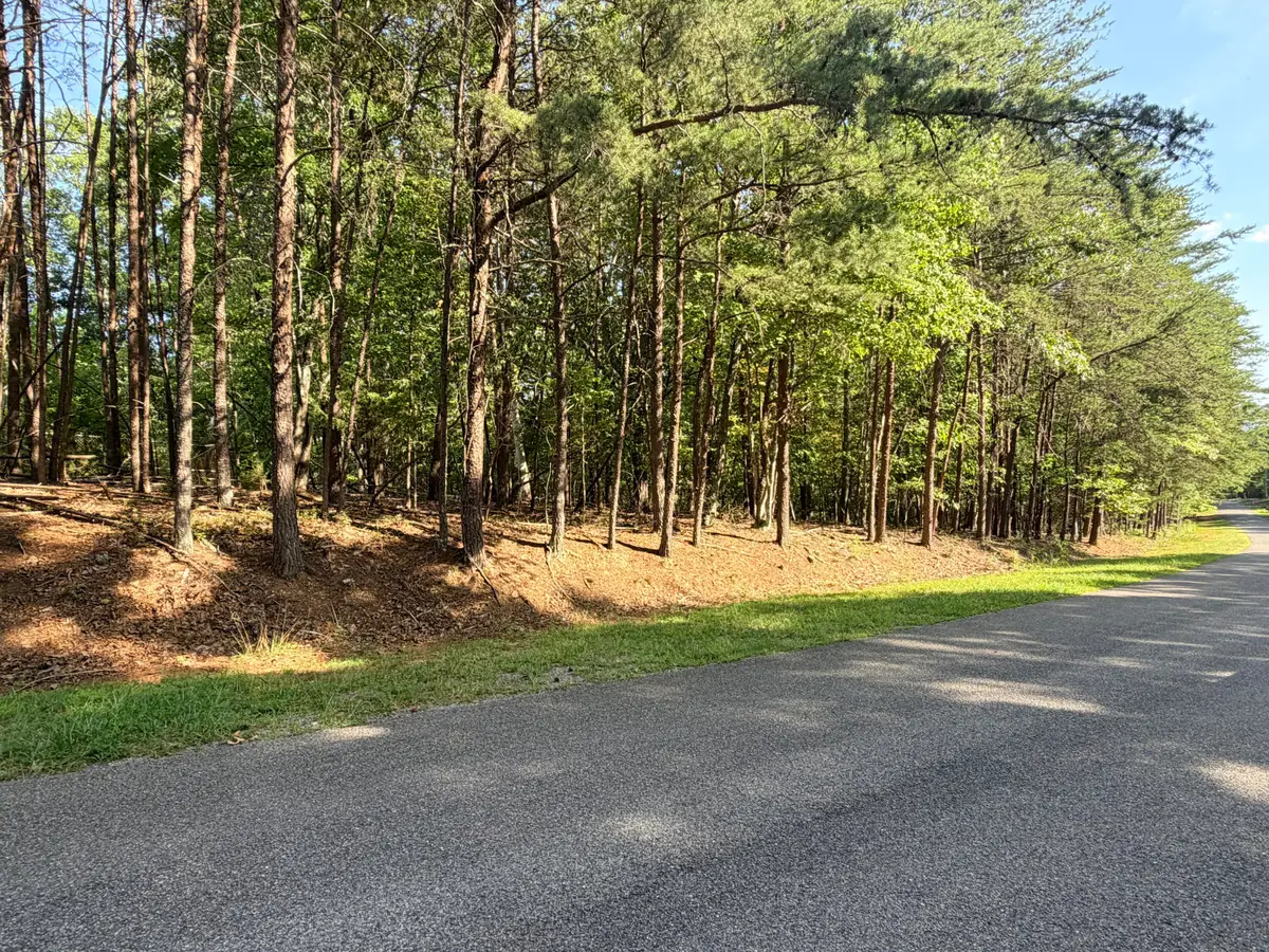 Lot 78 Mountwood, Huddleston, VA 24104 - #1