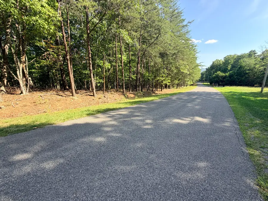 Lot 78 Mountwood, Huddleston, VA 24104 - #3