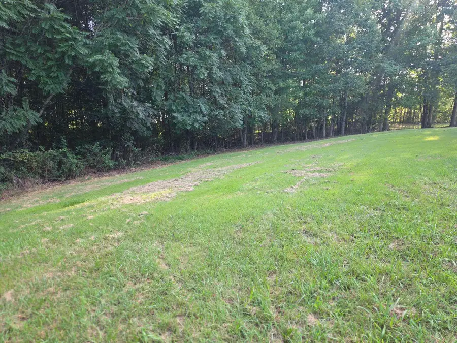 36 Nutmeg Ln, Penhook, VA 24137 - #3