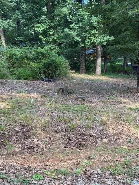 41 Wilderness Dr Se, Copper Hill, VA 24079 - #2