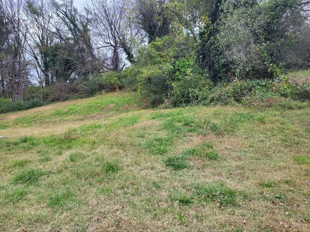 219 Harrison, Roanoke, VA 24016 - #1