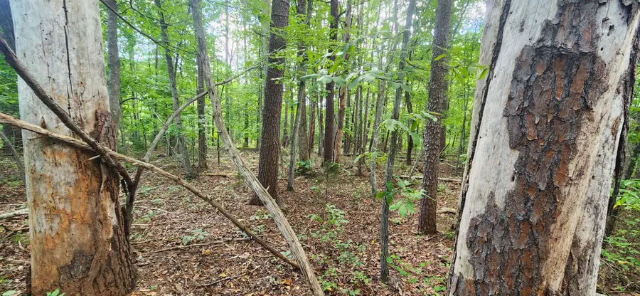 0 Cooper Rd, Rocky Mount, VA 24151 - #2