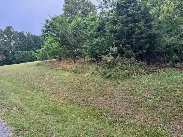 0 Fork Mountain, Rocky Mount, VA 24151