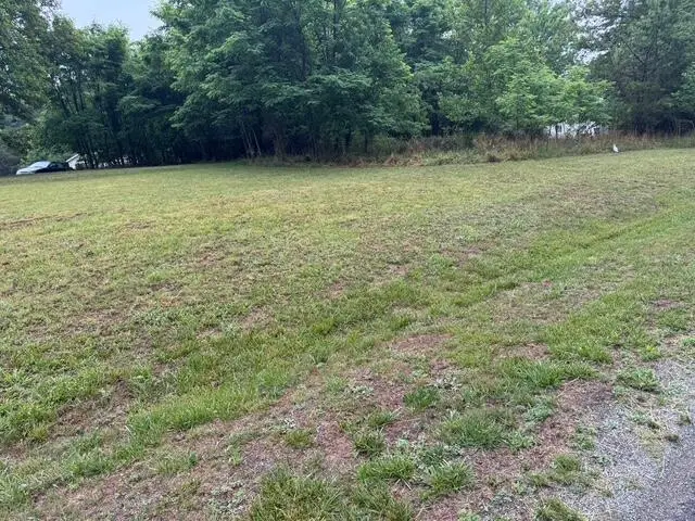 0 Fork Mountain, Rocky Mount, VA 24151 - #3