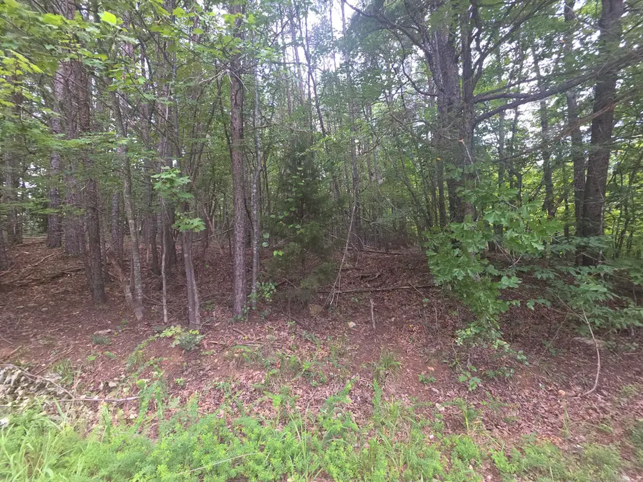 0 Woodland Forest, Rocky Mount, VA 24151 - #2