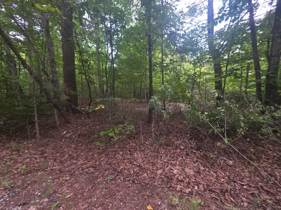 0 Woodland Forest, Rocky Mount, VA 24151 - #3