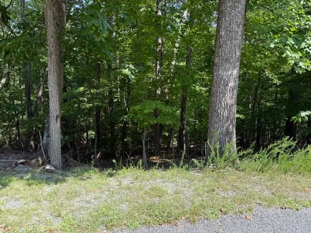 0 Fields, Blue Ridge, VA 24064 - #1