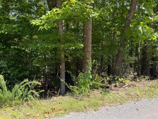 0 Fields, Blue Ridge, VA 24064 - #2