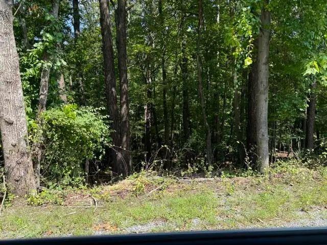 0 Fields, Blue Ridge, VA 24064 - #3