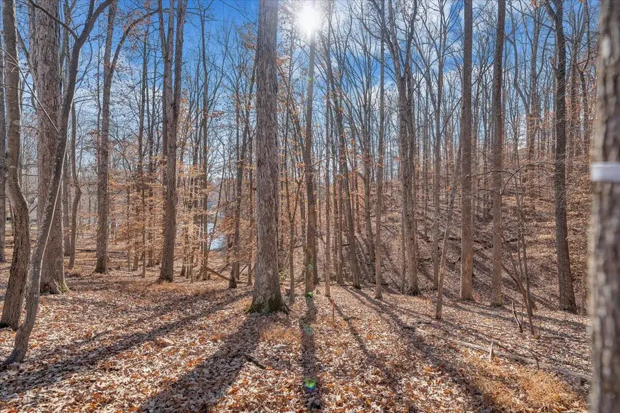 Lot 8 Leeward, Moneta, VA 24121 - #2
