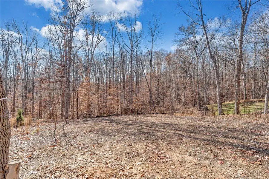 Lot 8 Leeward, Moneta, VA 24121 - #3