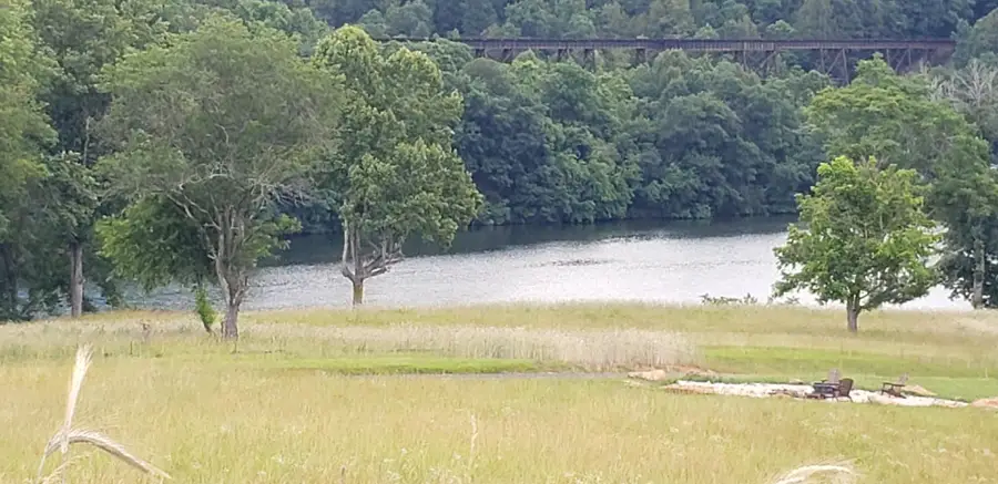 Lot 29 Moorman, Hardy, VA 24101 - #3