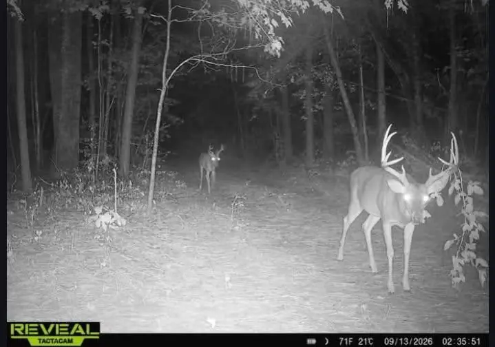 Lot 3 White House, Moneta, VA 24121 - #3
