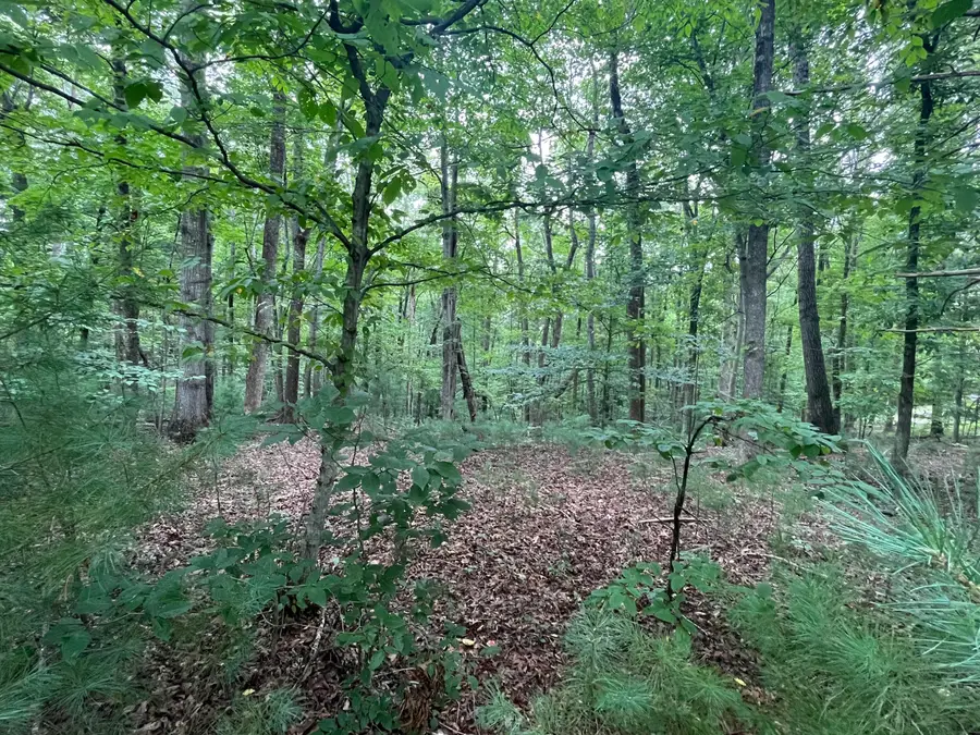 0 Storey Creek, Rocky Mount, VA 24151 - #2