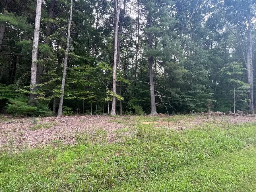 0 Storey Creek, Rocky Mount, VA 24151 - #3
