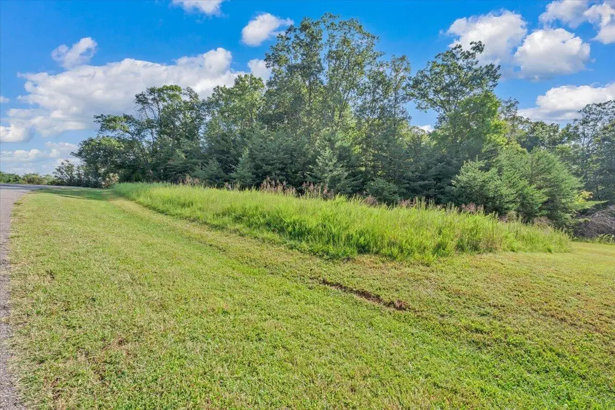 Lot 26 Palmetto Bluff, Hardy, VA 24101 - #1